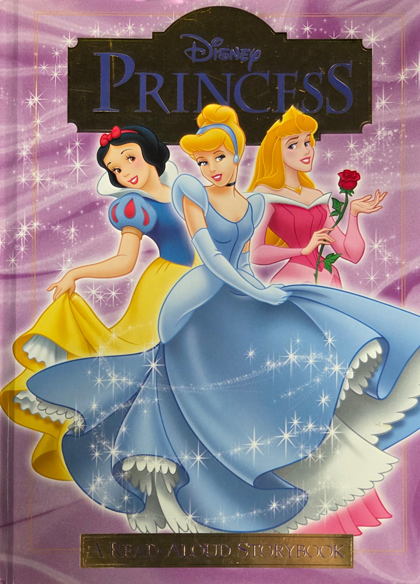 Disney Princess: Read-Aloud Storybook cover image