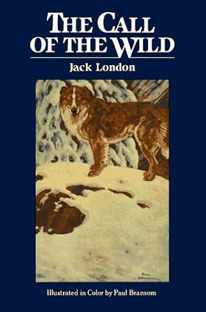 Call of the Wild (Children's Classics) cover image