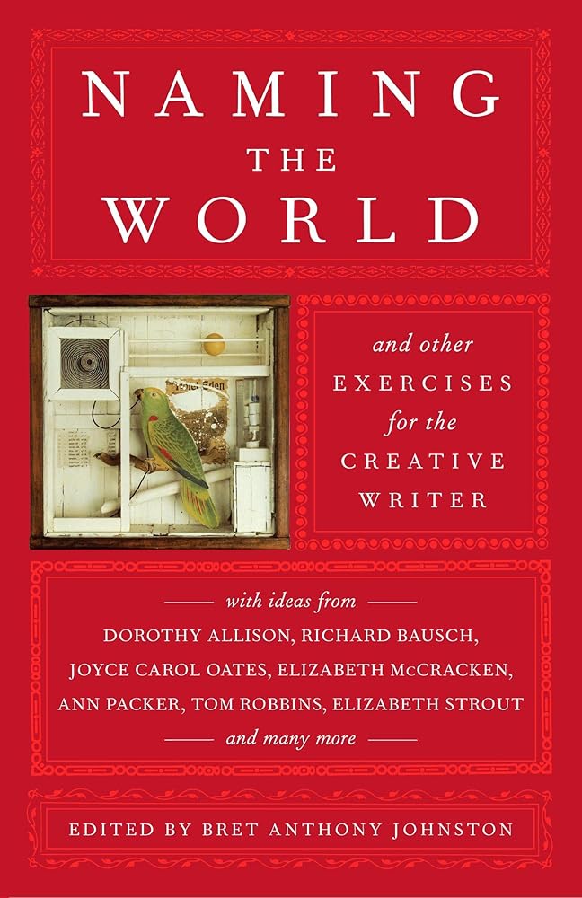 Naming the World: And Other Exercises for the Creative Writer Used Book at Skull & Books VR Cocoa Beach