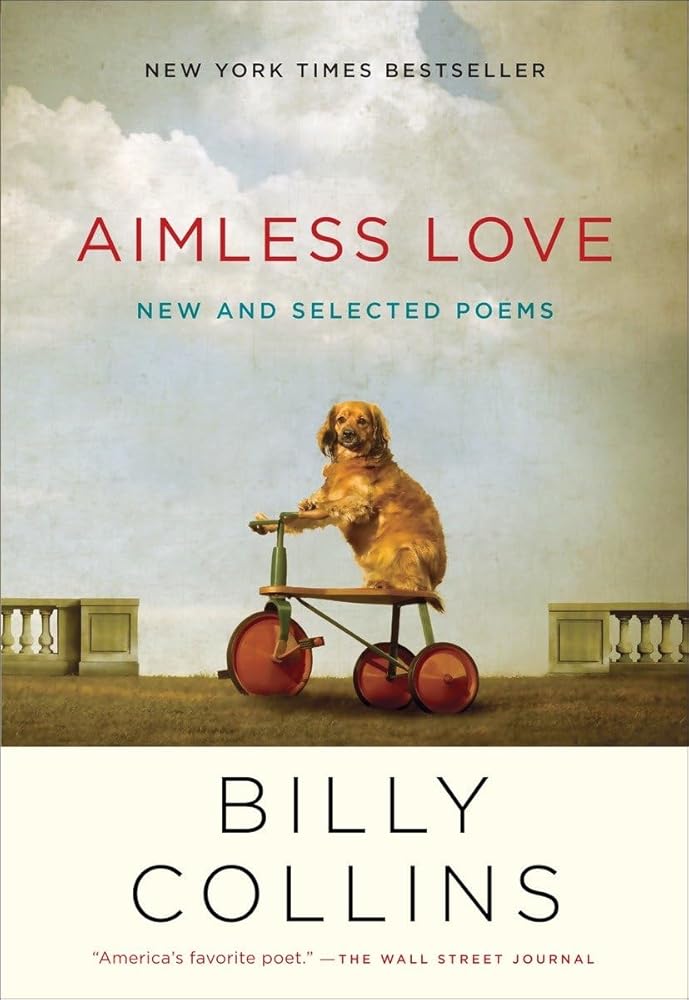 Aimless Love: New and Selected Poems Used Book at Skull & Books VR Cocoa Beach