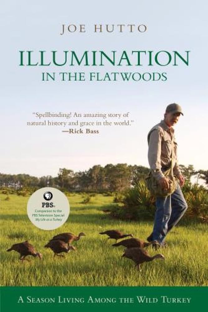 Illumination in the Flatwoods: A Season With The Wild Turkey cover image