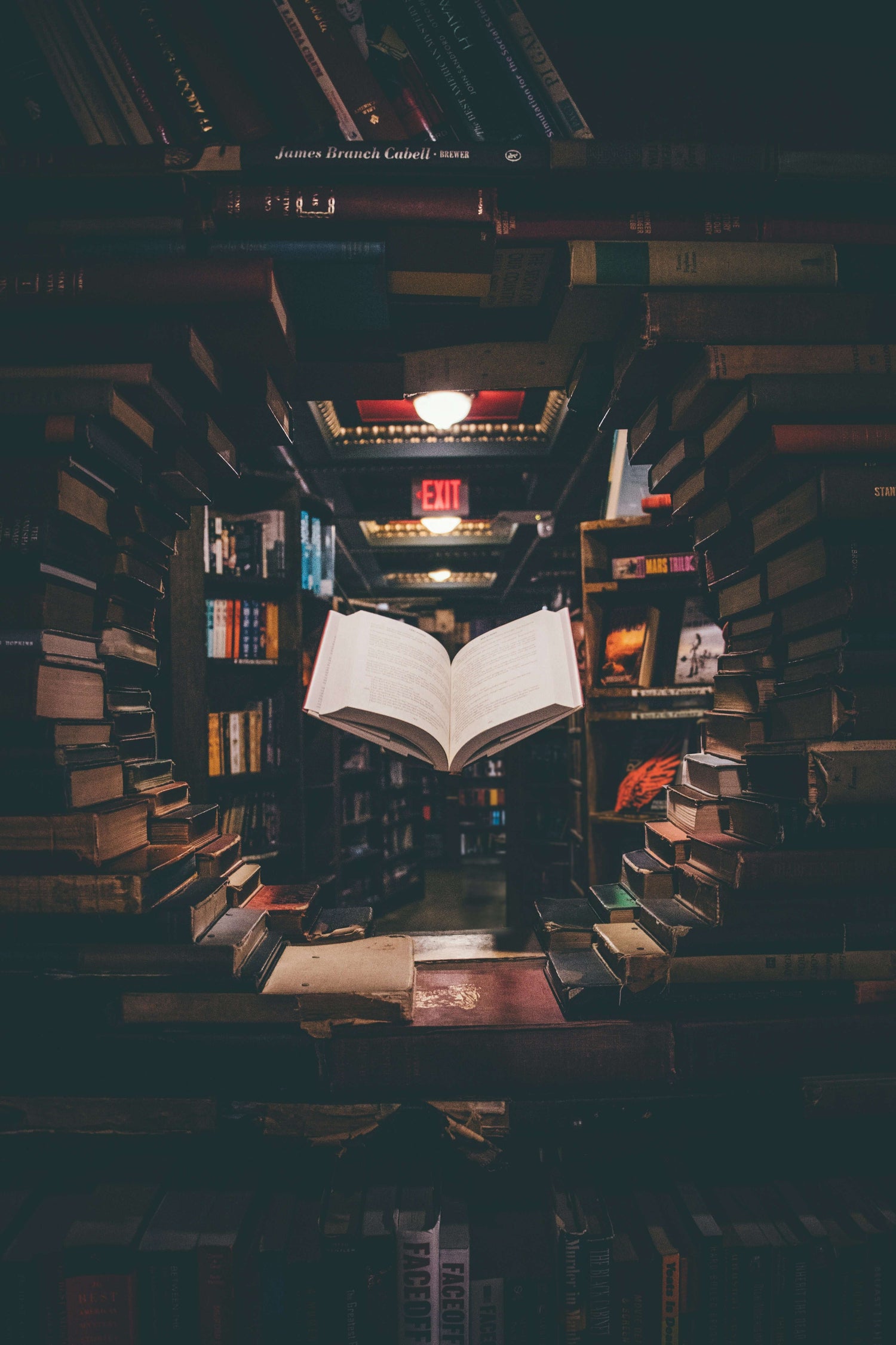 Literature image representing Collection at Skull & Books VR Cocoa Beach