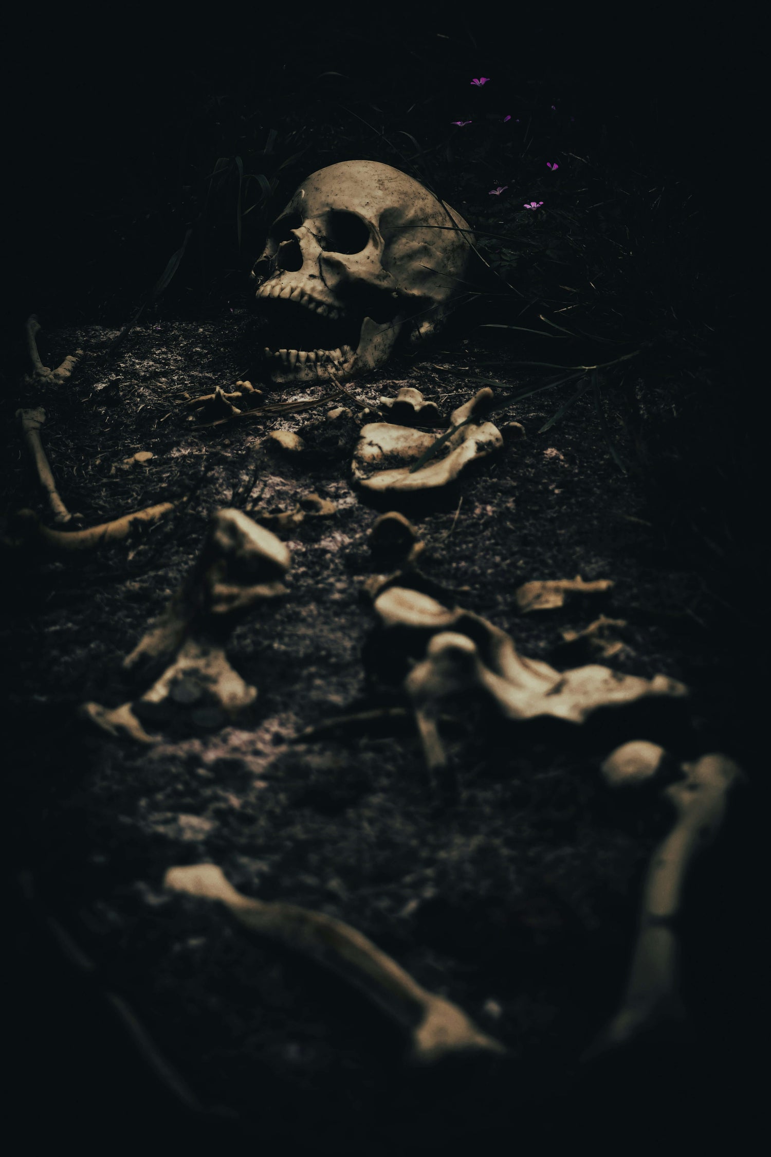 Horror VR image representing Collection at Skull & Books VR Cocoa Beach