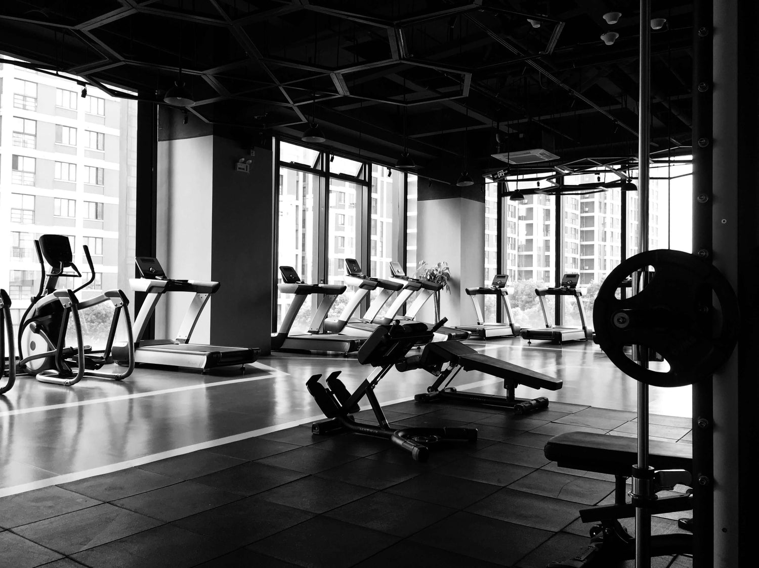 Fitness image representing Collection at Skull & Books VR Cocoa Beach
