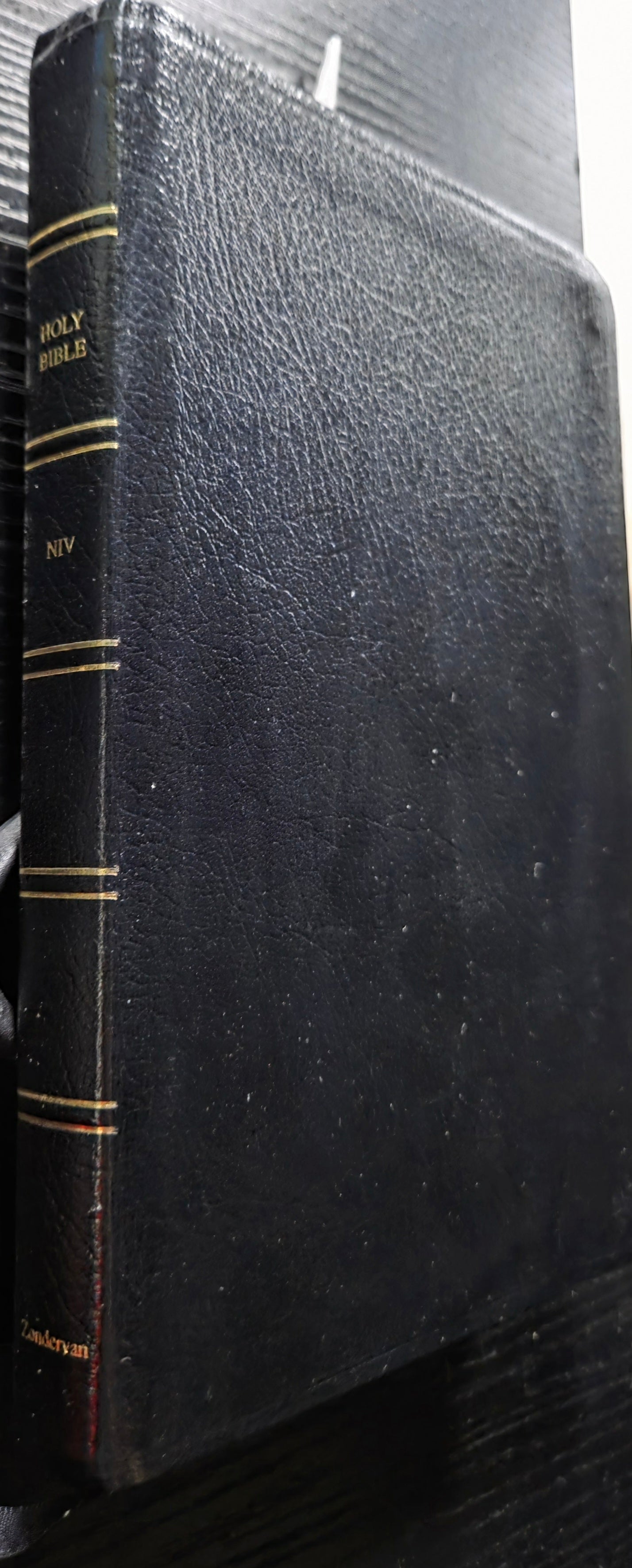 NIV Thinline Bible, Black cover image