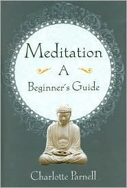Meditation: A Beginner's Guide ( Original Title: Seeing The Wider Picture) Used Book at Skull & Books VR Cocoa Beach