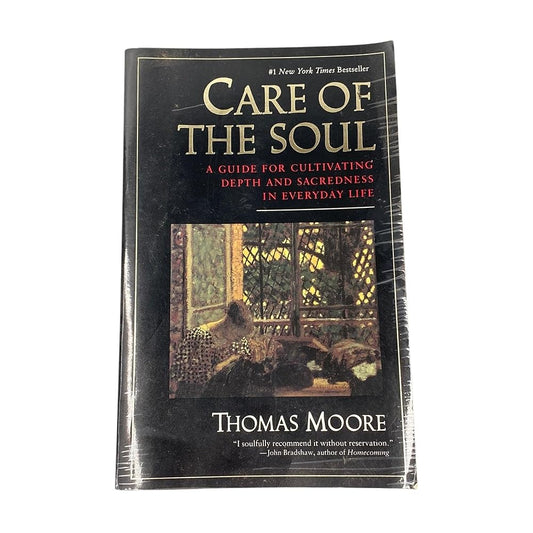 Care of the Soul : A Guide for Cultivating Depth and Sacredness in Everyday Life Used Book at Skull & Books VR Cocoa Beach