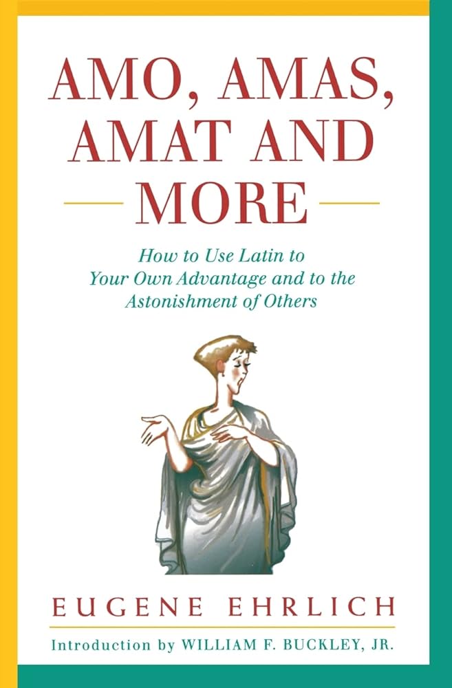 Amo, Amas, Amat and More cover image