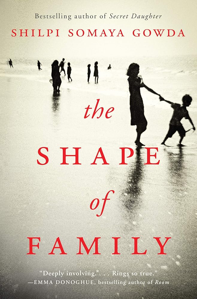 The Shape of Family: A Novel Used Book at Skull & Books VR Cocoa Beach