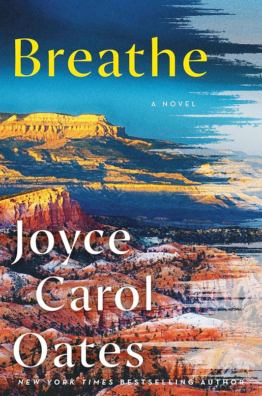 Breathe: A Novel Used Book at Skull & Books VR Cocoa Beach