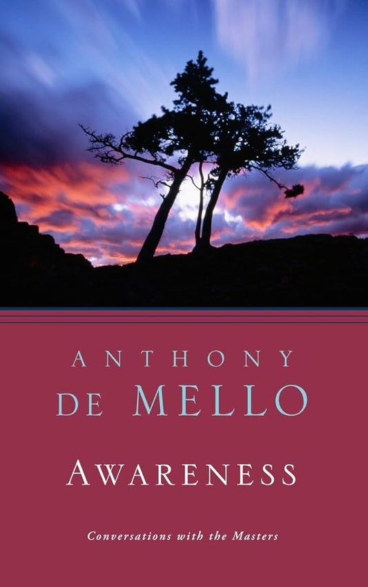 Awareness: Conversations with the Masters Used Book at Skull & Books VR Cocoa Beach