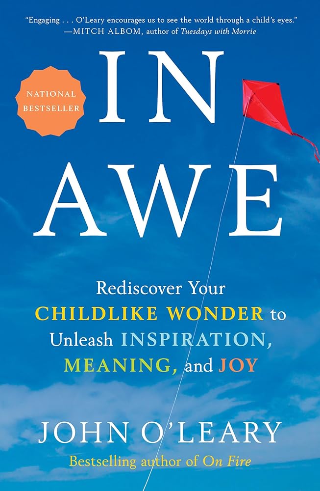 In Awe: Rediscover Your Childlike Wonder to Unleash Inspiration, Meaning, and Joy Used Book at Skull & Books VR Cocoa Beach