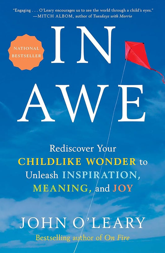 In Awe: Rediscover Your Childlike Wonder to Unleash Inspiration, Meaning, and Joy Used Book at Skull & Books VR Cocoa Beach