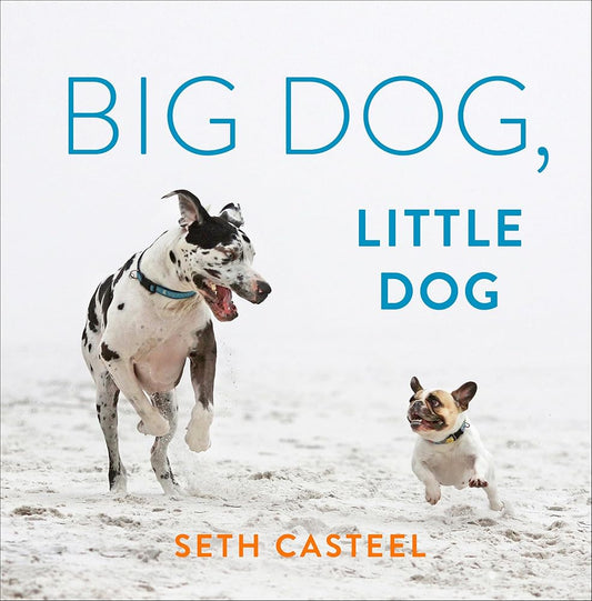Big Dog, Little Dog cover image