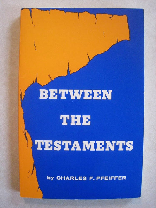Between the Testaments Used Book at Skull & Books VR Cocoa Beach