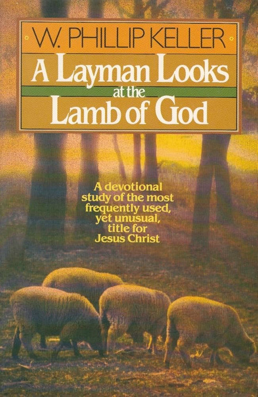 A Layman Looks at the Lamb of God Used Book at Skull & Books VR Cocoa Beach