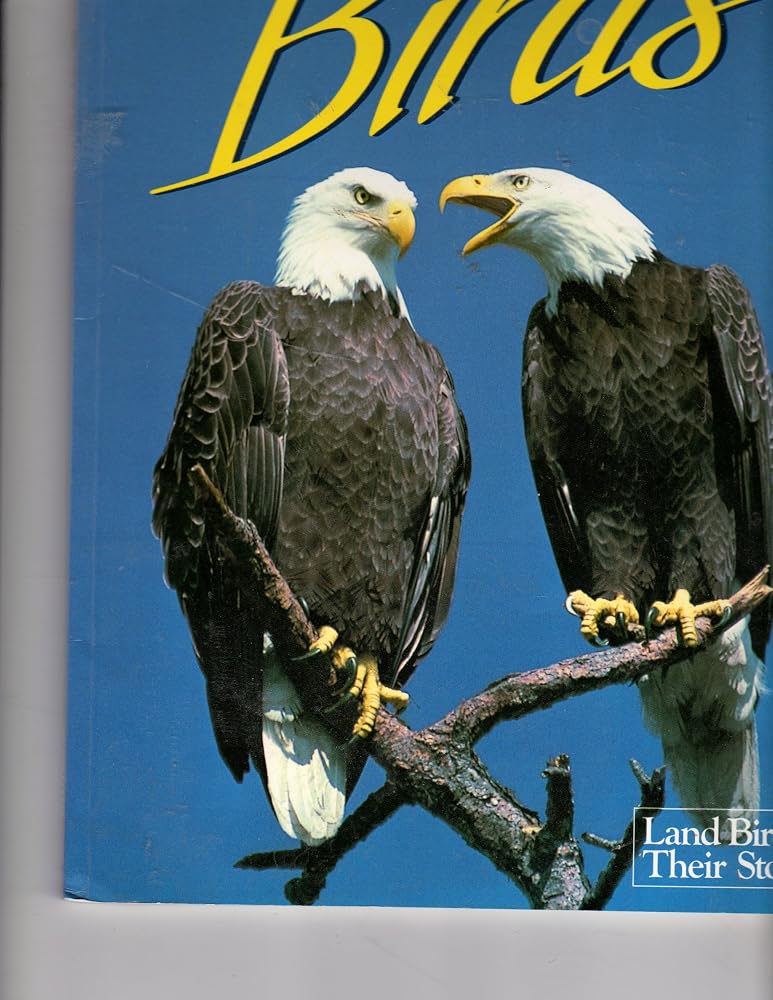 Florida's Fabulous Birds: Land Birds: Their Stories cover image