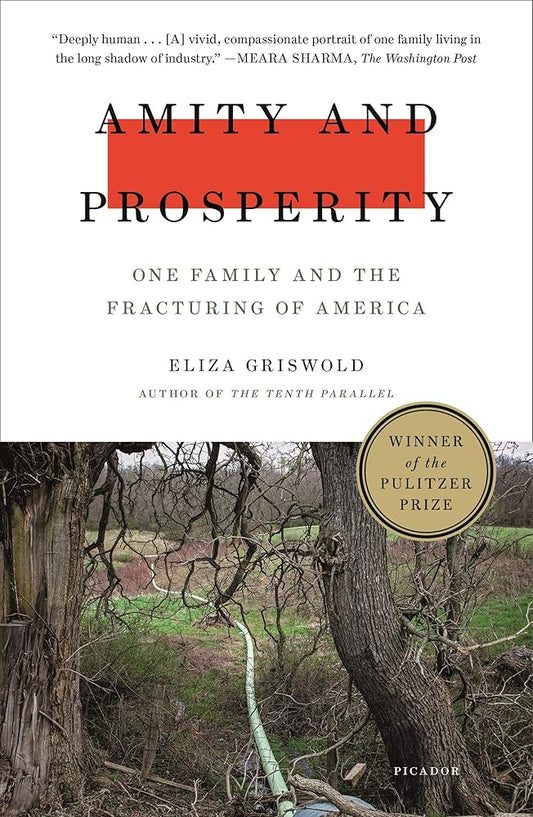 Amity and Prosperity: One Family and the Fracturing of America Used Book at Skull & Books VR Cocoa Beach