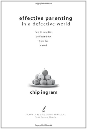 Effective Parenting in a Defective World Used Book at Skull & Books VR Cocoa Beach