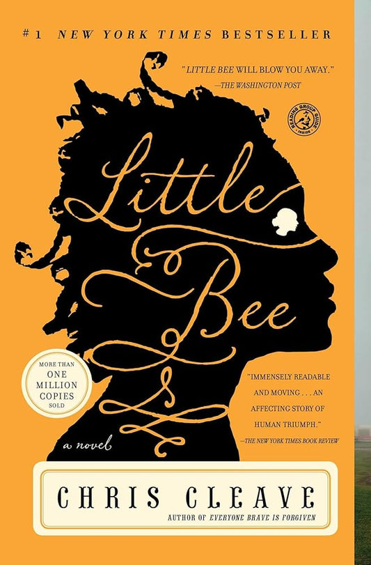 Little Bee: A Novel Used Book at Skull & Books VR Cocoa Beach