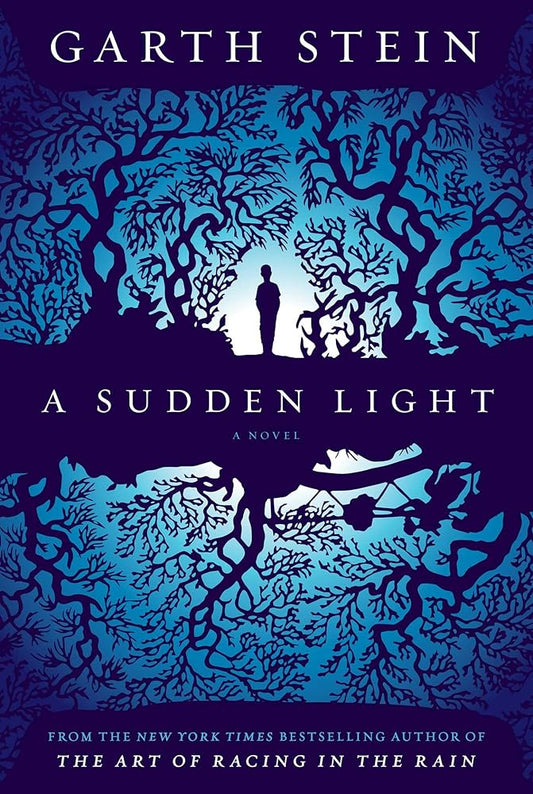 A Sudden Light: A Novel cover image