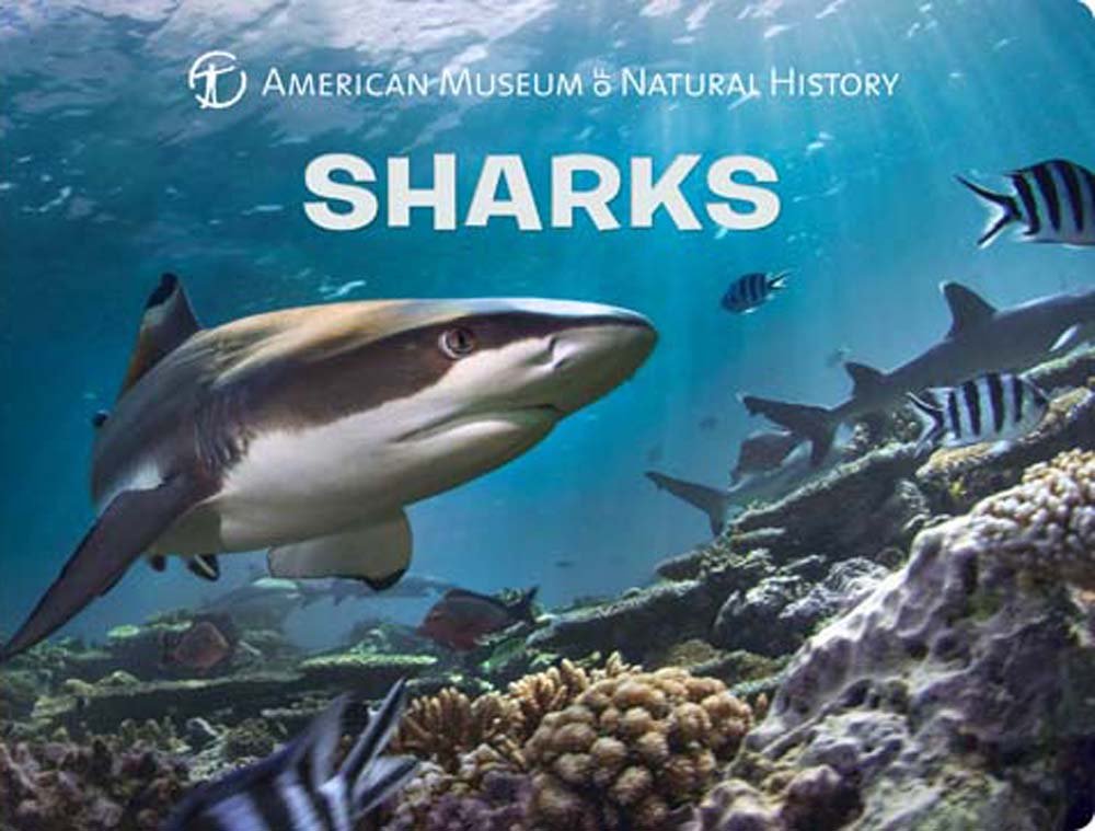 Sharks (Science for Toddlers) cover image