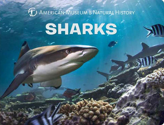 Sharks (Science for Toddlers) cover image