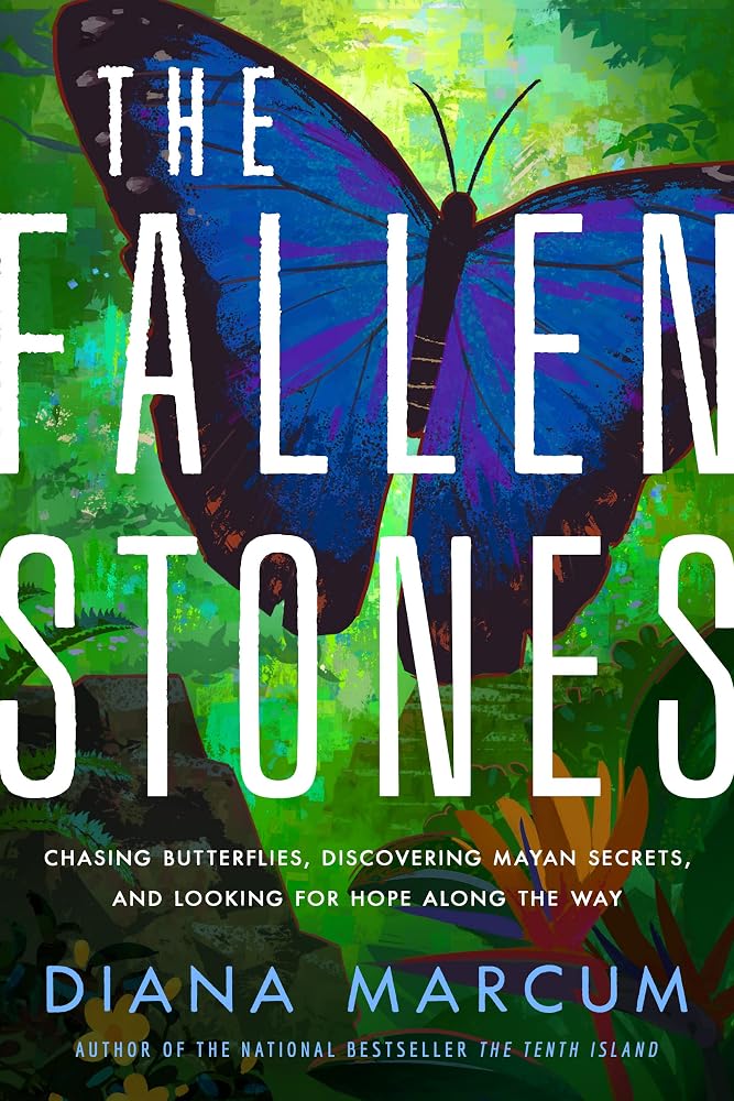 The Fallen Stones: Chasing Butterflies, Discovering Mayan Secrets, and Looking for Hope Along the Way cover image