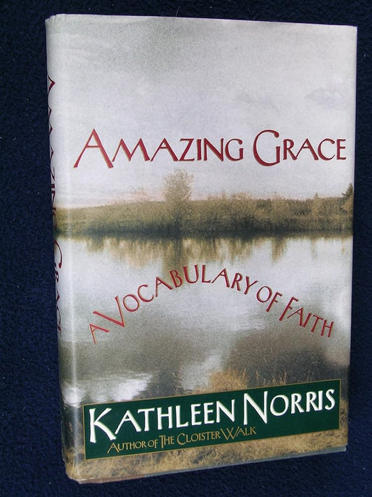 Amazing Grace: A Vocabulary of Faith Used Book at Skull & Books VR Cocoa Beach