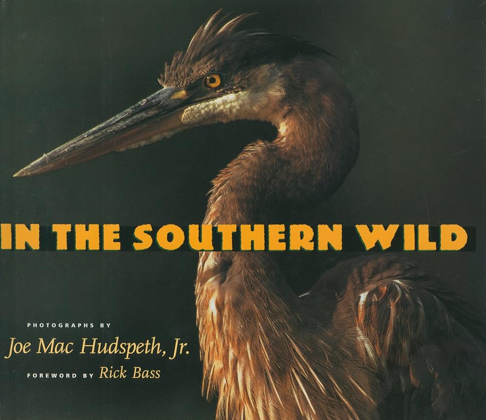 In the Southern Wild cover image