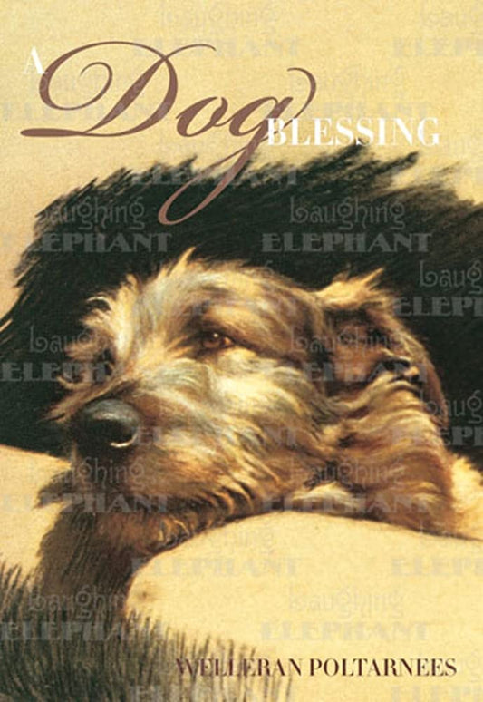 A Dog Blessing Used Book at Skull & Books VR Cocoa Beach