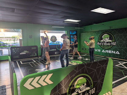 Standard VR Experience
