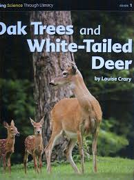 Become An Expert Oak Trees & White-Tailed Deer - Florida Used Book at Skull & Books VR Cocoa Beach